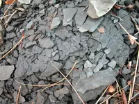 1280px-Shale_8040.webp