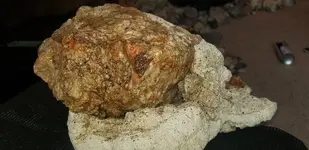 20180930_151628.webp