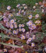 DSC02589.webp
