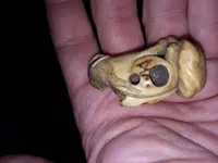 20181019_141928.webp