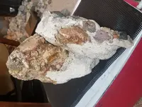 20180930_152136.webp