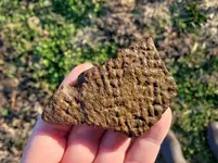 Pottery with drilled hole 11-17-18.webp