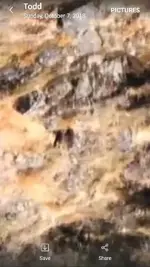 Screenshot_20181007-185332.webp