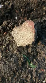 IMG-20181209-WA0012002.webp