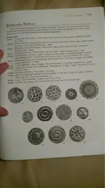 ImageUploadedByTreasureNet.com1544396390.744595.webp