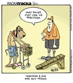 20090831-old-dogs-cartoon.webp