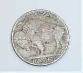 1938 Buffalo Nickel Reverse Post-Cleaning.webp