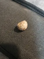 20181209_182725.webp