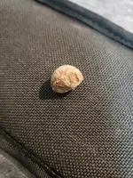 20181209_182736.webp
