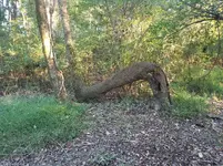 20181019_173814.webp