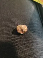 20181209_182914.webp