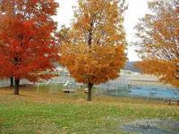 DSCF0007.webp DSCF0007.webp