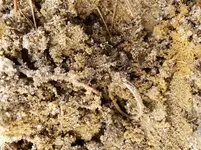 20181114_110744.webp