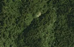4tl.webp