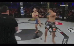 delayed lights out MMA.gif