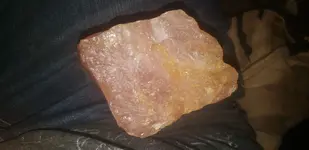 20181001_053210.webp