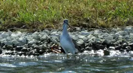 DSCN7605.webp DSCN7605.webp