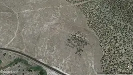 bald spot.webp