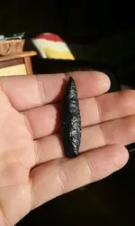 20181117_091315.webp