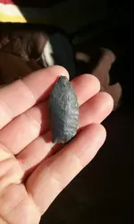 20181117_091300.webp