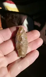 20181117_091452.webp