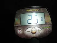 005.webp