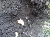 20181012_115836.webp