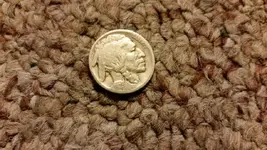 bingobuffalo.webp