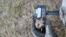 20181130_162800.webp