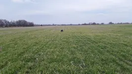 20181130_160846.webp