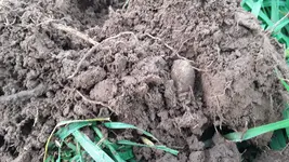 20181130_143848.webp