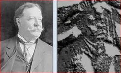taft.webp