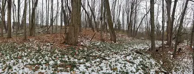 WP_20181125_09_46_11_Panorama.webp