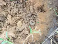 20180930_111749.webp