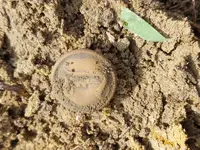 20180930_122623.webp