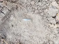 20180930_133453.webp