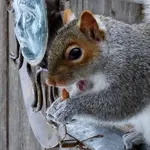 DSCN1856.webp