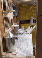 20181129_222350.webp