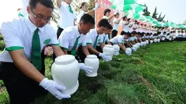 Bio Urns.webp