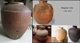 Shigaraki Urn.webp