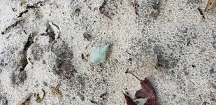 20181118_105039.webp