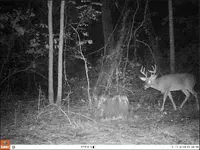 Screen Shot 2018-11-07 at 10.21.26 PM.webp