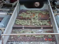 budbox.webp