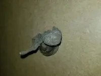 20181210_213647.webp