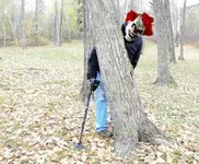 clown.webp