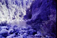 PICT0017.webp