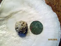 Chewed Round Ball NH .11.30.2018 pic.2.webp