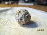 Chewed Round Ball NH .11.30.2018 pic.5.webp