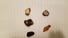 20181020_222531.webp
