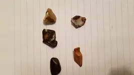 20181020_222736.webp